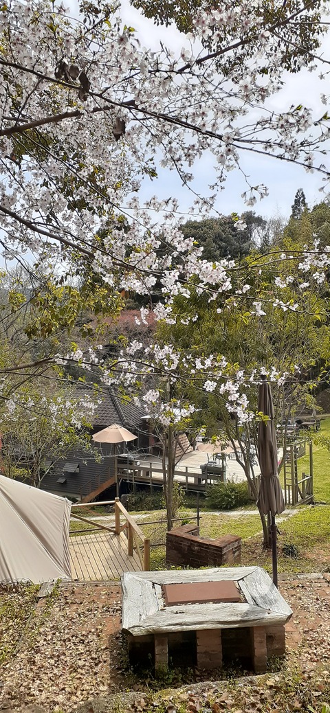 149-134(48-48)橘香園2_133339