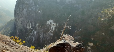 236-219(25-24)大崩山1104_094038