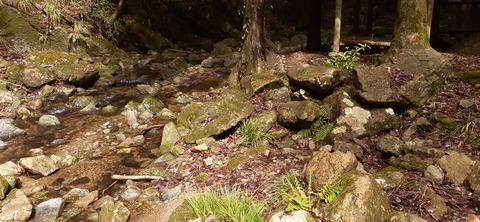 202-186(44-43)八木山渓流公園325_110307