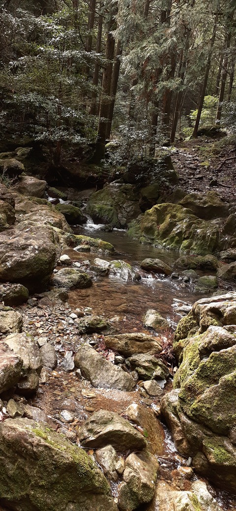 202-186(44-43)八木山渓流公園325_110259