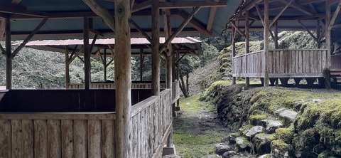 202-186(44-43)八木山渓流公園325_111705