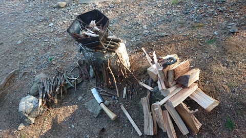 88-74(43-38)昭和の森一本松サイト879