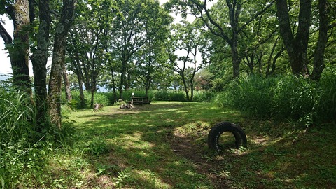 110-95(9-9)高原の里48エイドステ