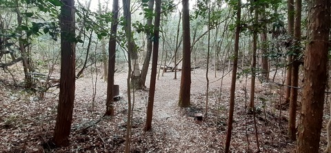 144-129(43-43)スゼンジハウスオープンエア26_105753