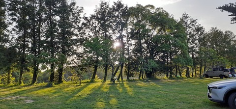 205-189(47-46)ラピュタファーム422_180023