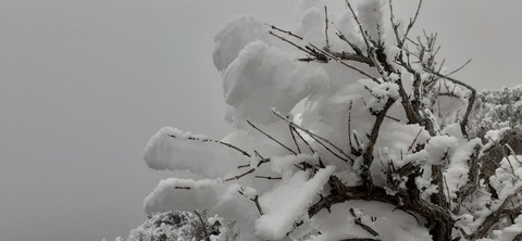 250-231(39-36)RECAMP志高湖 由布岳211_071956