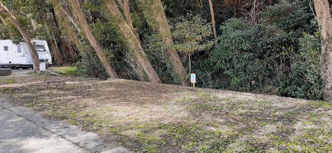203-187(45-44)長崎鼻リゾートキャンプ場401_132341