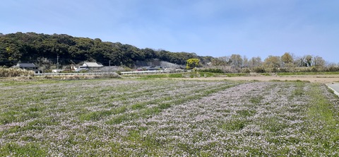 203-187(45-44)長崎鼻リゾートキャンプ場401_111749