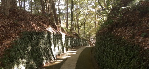 234-217(23-22)広川原キャンプ場1028_132612