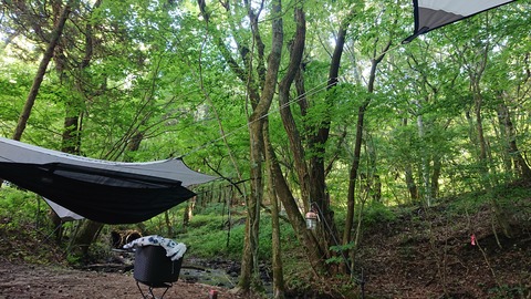 114-99(13-13)9.BASE 572