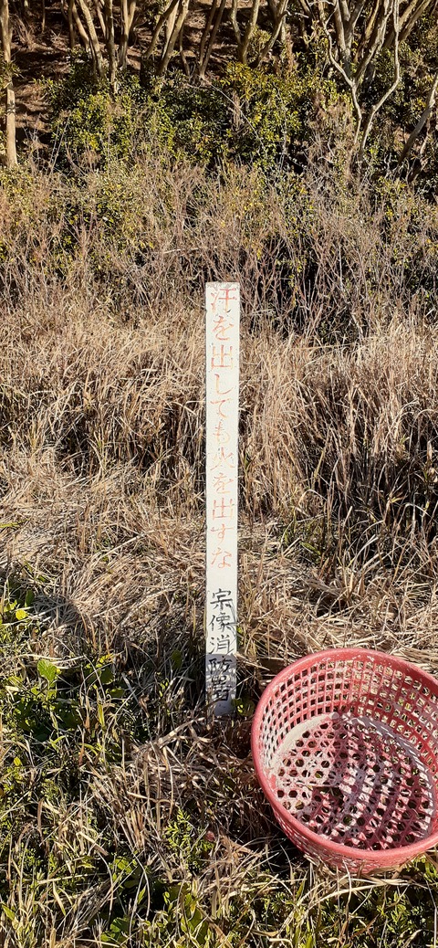 189-173(31-30)大島加代海岸104_092424