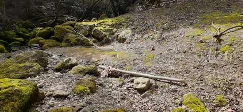 202-186(44-43)八木山渓流公園325_111956