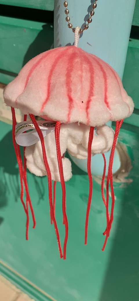 198-182(40-39)キワラビーチ225_133959