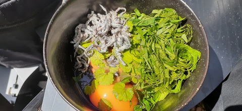 153-138(52-52)マゼノ 甲の瀬キャンプ村430_141257