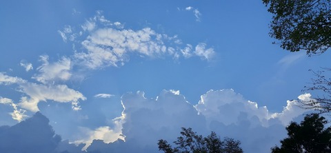 229-212(18-17)竹原牧場916_172237