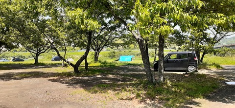 207-191(49-48)津志田河川公園乙女河原501_132340