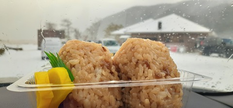 238-221(27-26)法華院温泉山荘1118_095449