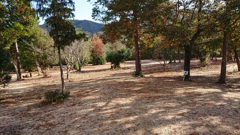 74-61(29-25)千防川砂防公園キャンプ場716