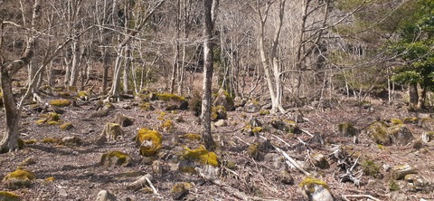 252-233(41-38)牧の原キャンプ場④309_121005