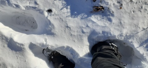 238-221(27-26)法華院温泉山荘1119_091207