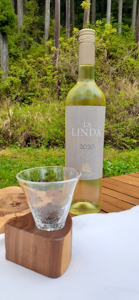 152-137(51-51)阿蘇夢蛍キャンプ場429_141457