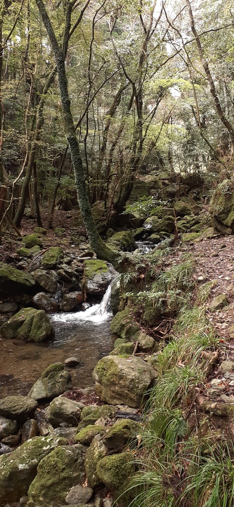 202-186(44-43)八木山渓流公園325_111105