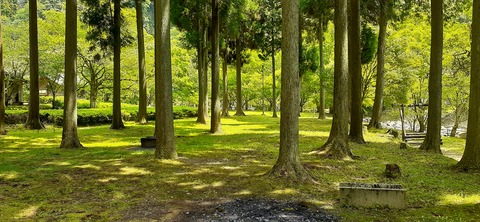 211-195(53-52)猿ヶ城キャンプ場505_130618