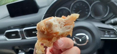 166-151(8-8)久住高原温泉キャンプ場717_112939