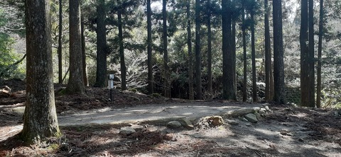 199-183(41-40)山中キャンプ場311_112732