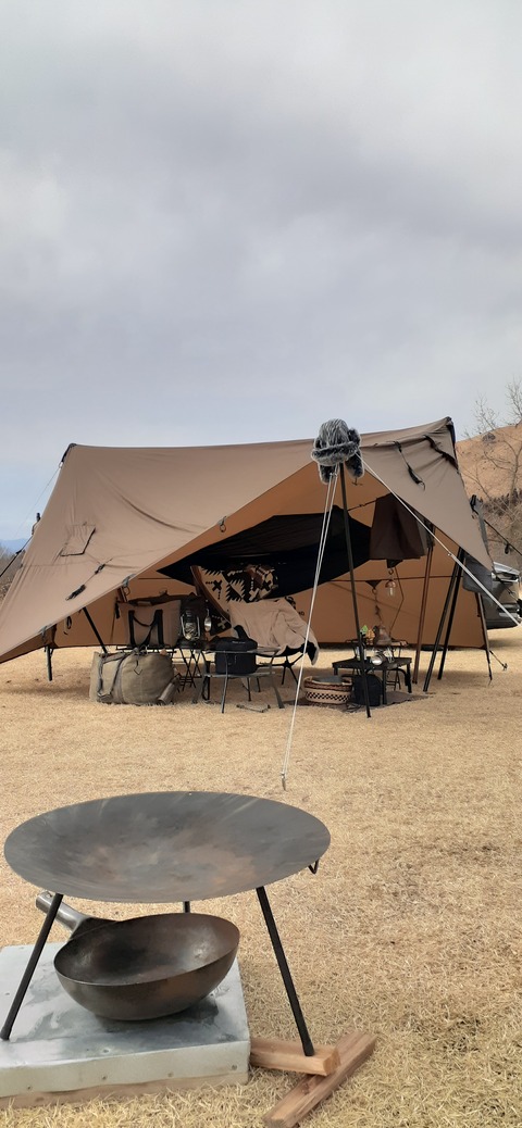 194-178(36-35)ゴンドーシャロレー⑨211_140626