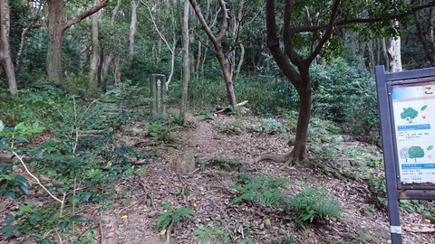 120-105(19-19)小文字山テン泊569S