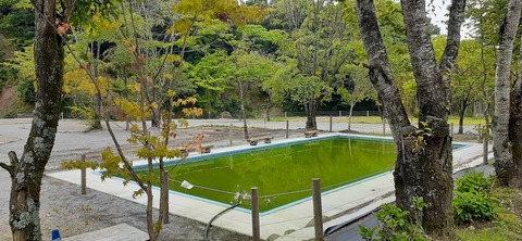 216-200(5-5)山鳥の森623_124736