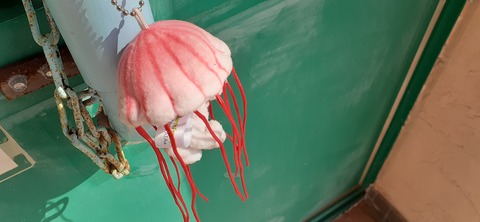 198-182(40-39)キワラビーチ225_134004