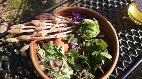 42-34家族旅行村安心院93S