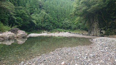 55-44(10-8)カワセミ公園994S