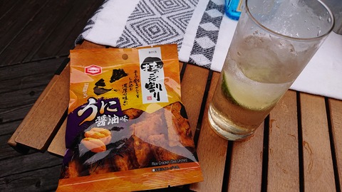 118-103(17-17)グランピングKAWASAKI２97S