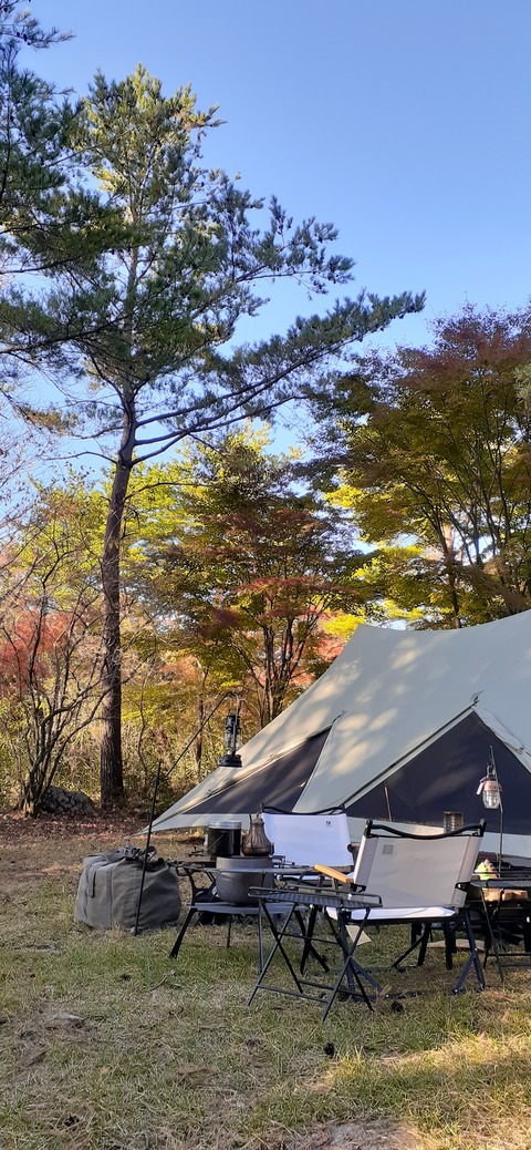 179-163(21-20)ゴンドーシャロレー7泊目1029_162623