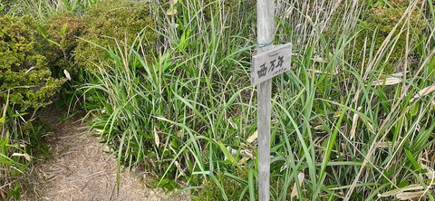 268-248(5-4)万年山616_085852