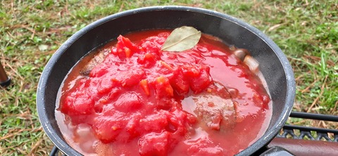 177-162(19-19)HGP南阿蘇OSCAMP1009_163505