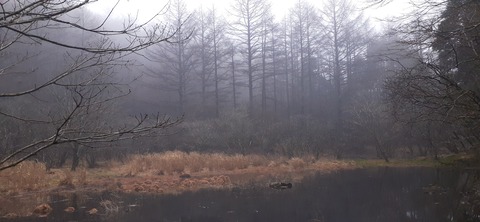 251-232(40-37)法華院温泉山荘2泊目223_115341