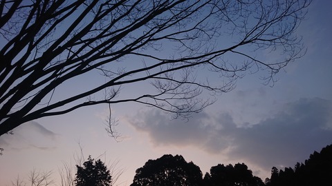 39-31岩屋キャンプ場703S