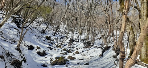 238-221(27-26)法華院温泉山荘1119_112845