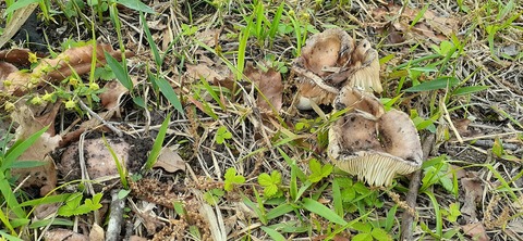 159-144(1-1)遊牧民521_144058