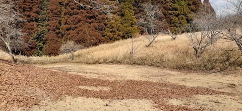 249-230(38-35)RECAMP志高湖210_144233