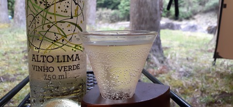 211-195(53-52)猿ヶ城キャンプ場505_170841