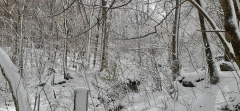 238-221(27-26)法華院温泉山荘1118_105039