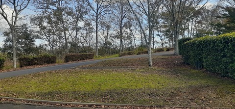 237-220(26-25)るるパーク1111_121443