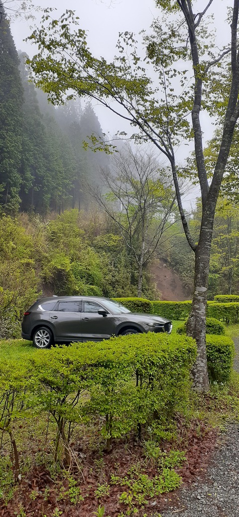 152-137(51-51)阿蘇夢蛍キャンプ場429_131633