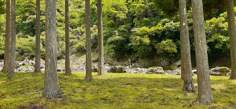 211-195(53-52)猿ヶ城キャンプ場505_131109