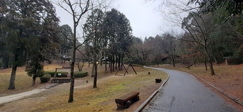 143-128(42-42)大野城いこいの森19_131404